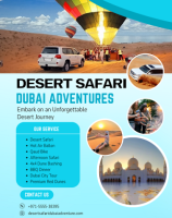 Evening Desert Safari Dubai +971 55 553 8395