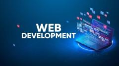 Web Development Services | Poppy Pulse