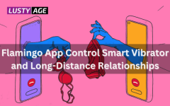 Bridging the Gap: Flamingo App Control Smart Vibrator and Long-Distance Relationship