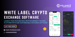 White Label Cryptocurrency Exchange Software development - Hivelance