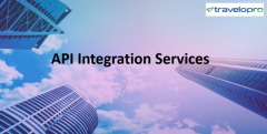 API Integration Services