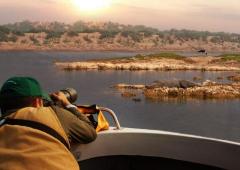 Plan Chambal Wildlife Safari for Stunning Scenery