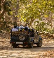 Plan Sasan Gir Jeep Safari Booking for Unforgettable Experience