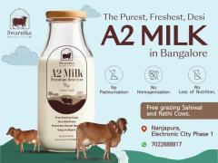  Healthy cow milk delivery in Bangalore: Fresh and Organic 