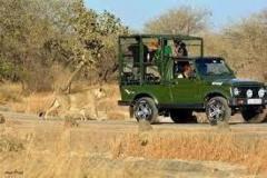 Get Devalia Safari Park Booking at Lowest Price