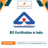 BIS Registration in Delhi