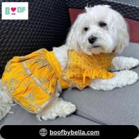 Diwali Dog Kurta and Dog Lehenga: Dress Your Pet in Style