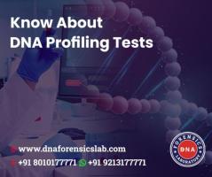 Current-Day Applications of DNA Profiling Tests