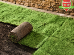 Sydney Turf And Landscaping: Expert Solutions for Your Lawn