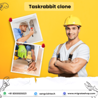 TaskRabbit Clone: The Key to Building a Thriving On-Demand Platform