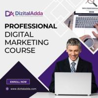 Professional Digital Marketing Course: Elevate Your Skills