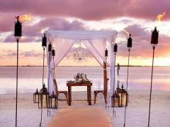 Expert Wedding Planner in Key West Florida