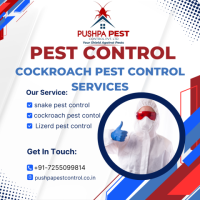  Cockroach Pest Control Services in Jharkhand 