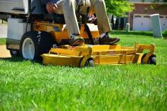 Lawn Care in Oakville – Expert Services for a Beautiful Lawn