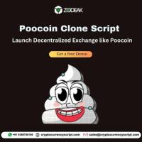 Poocoin clone script: To Launch BSC-based decentralized exchange