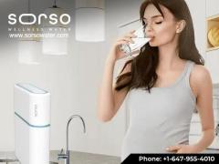 Pure Sips, Cleaner Planet: The Ultimate Fluoride Water Filter Solution