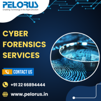 cyber forensics services | E-Discovery Software