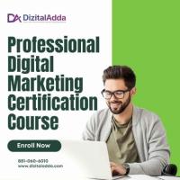 Professional Digital Marketing Certification Course | Learn & Excel