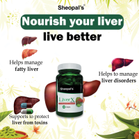 How Can Lifestyle Changes Improve Liver Health?