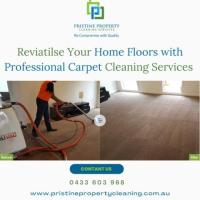 Reviatilse Your Home Floors with Professional Carpet Cleaning Services