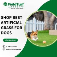 Shop Best Artificial Grass For Dogs | FieldTurf Landscape