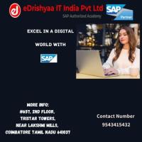 Excel In a Digital World With SAP