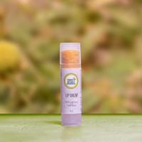 Seabuckthorn & Calendula Lip Balm - Best Organic Lip Balm