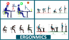 What is Ergonomics?