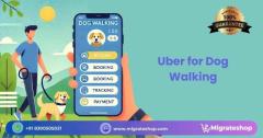 How to Build a Dog Walking App like Uber