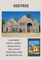 Red Tree Apartment Rental Agency Brighton, MA : Your Resource for Luxurious Living 