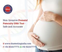 Get the Best and Reasonable Non-Invasive Prenatal Paternity Test