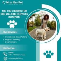 Professional Dog Walking Services in Mumbai