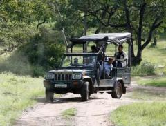 Reserve Sasan Gir Jeep Safari Booking for Smooth Wild Thrill Tour