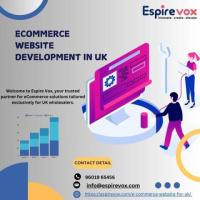 Ecommerce Website Development in UK