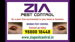 Pest control Service in White Field | Bedbug treatment |