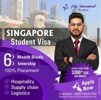 Singapore Industrial Training and placements