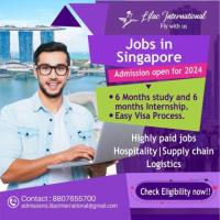 Singapore Industrial Training and placements