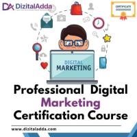 Professional Digital Marketing Certification Course | Learn & Excel