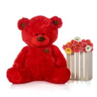 Charming Red Teddy Bear At Giant Teddy