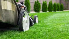 Best service for Lawn Mowing in Chilcotts Grass