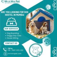 The Best Dog Hostel in Mumbai