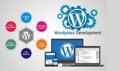 Elevate Your Online Presence with WordPress Development Services