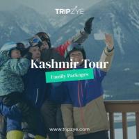 kashmir family tour packages