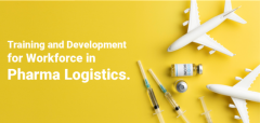 Training and Development for Workforce in Pharma Logistics