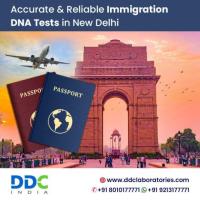 Searching for DNA Tests in New Delhi for Immigration Purposes? 