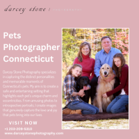 Pets Photographer Connecticut: Make Memories That Last a Lifetime!