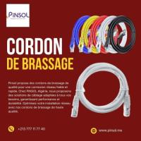 Cordon de brassage - Connectivité et performance réseau