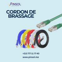 Cordon de brassage - Connectivité et performance réseau