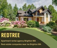 Choose a Charming 3 Bed Home Hiring an Apartment Rental Agency Brighton MA 