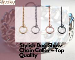 Stylish Dog Show Chain Collar – Top Quality